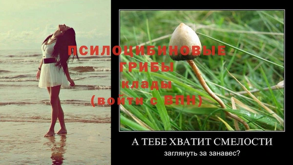 таблы Вязники